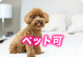 ペット可