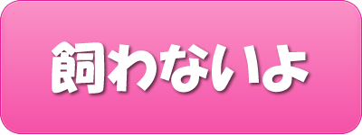飼わない